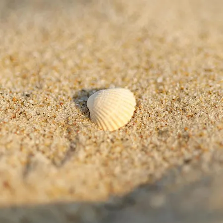 Premium Lux - Tuz Przy Morzu-baseny,sauny I Jacuzzi W Cenie! -pinea Pobierowo-sannel For Rent * Pobierowo