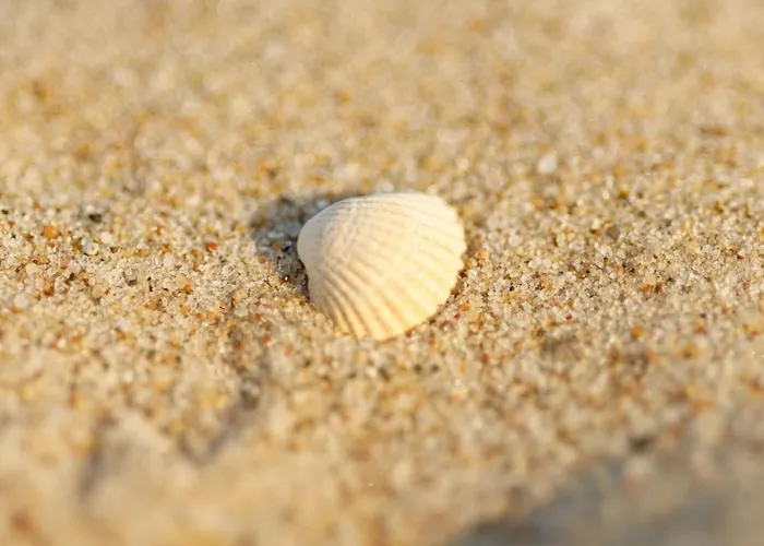 Premium Lux - Tuż Przy Morzu-baseny,sauny I Jacuzzi W Cenie! -pinea Pobierowo-sannel For Rent * Pobierowo